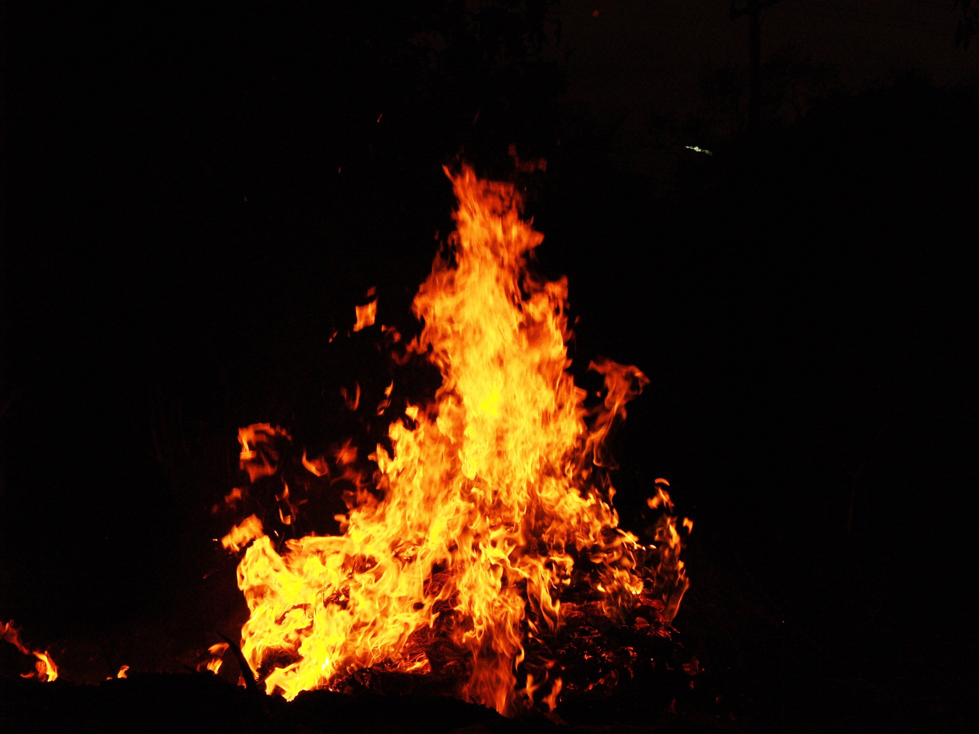 feu de jardin