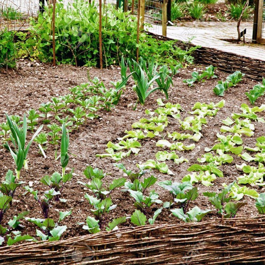 Parcelles disponibles aux Jardins partagés