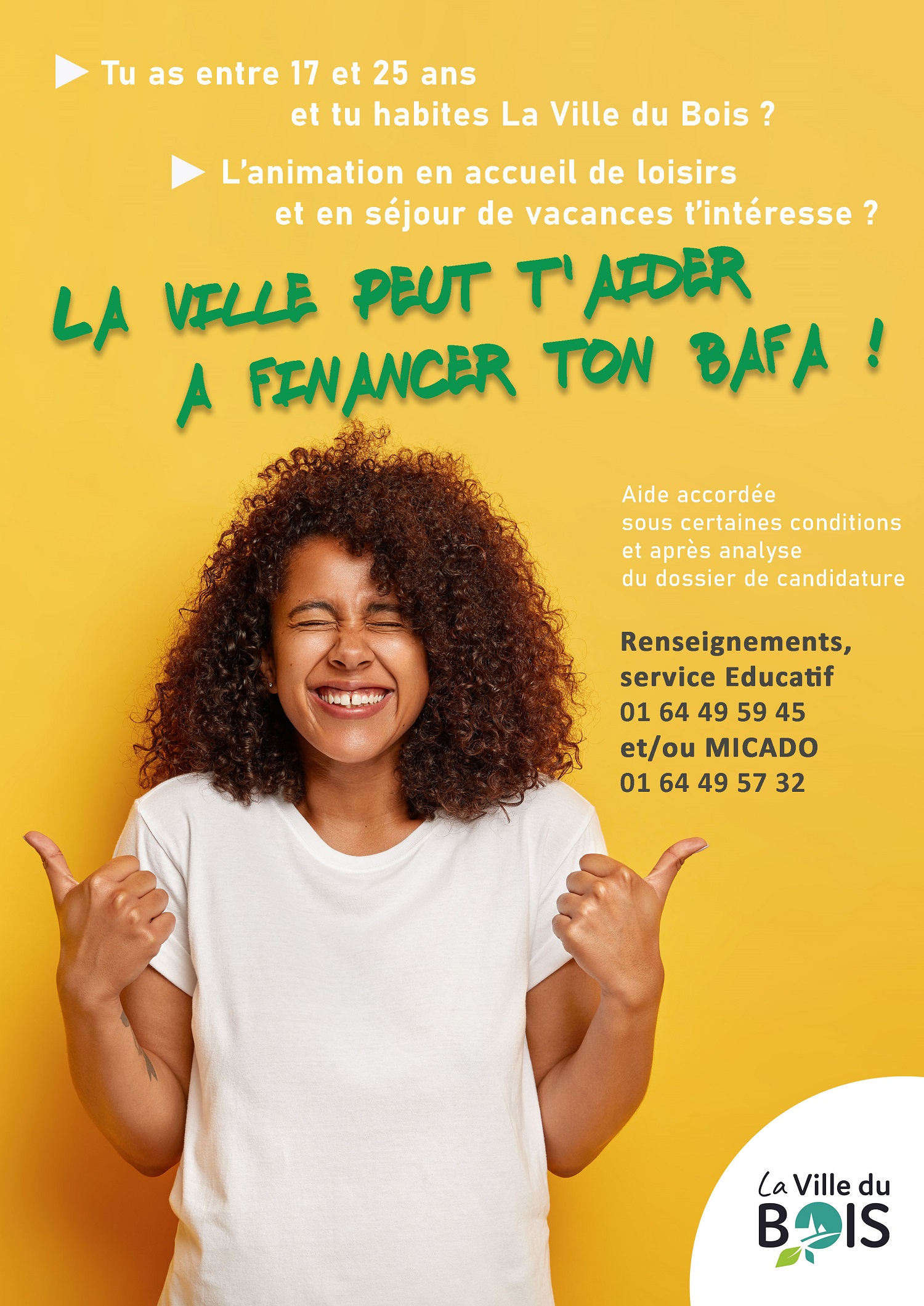 aide BAFA affiche