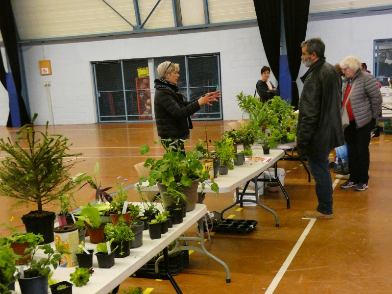 Troc_de_plantes